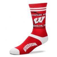 Badgers Adult State Outline Socks